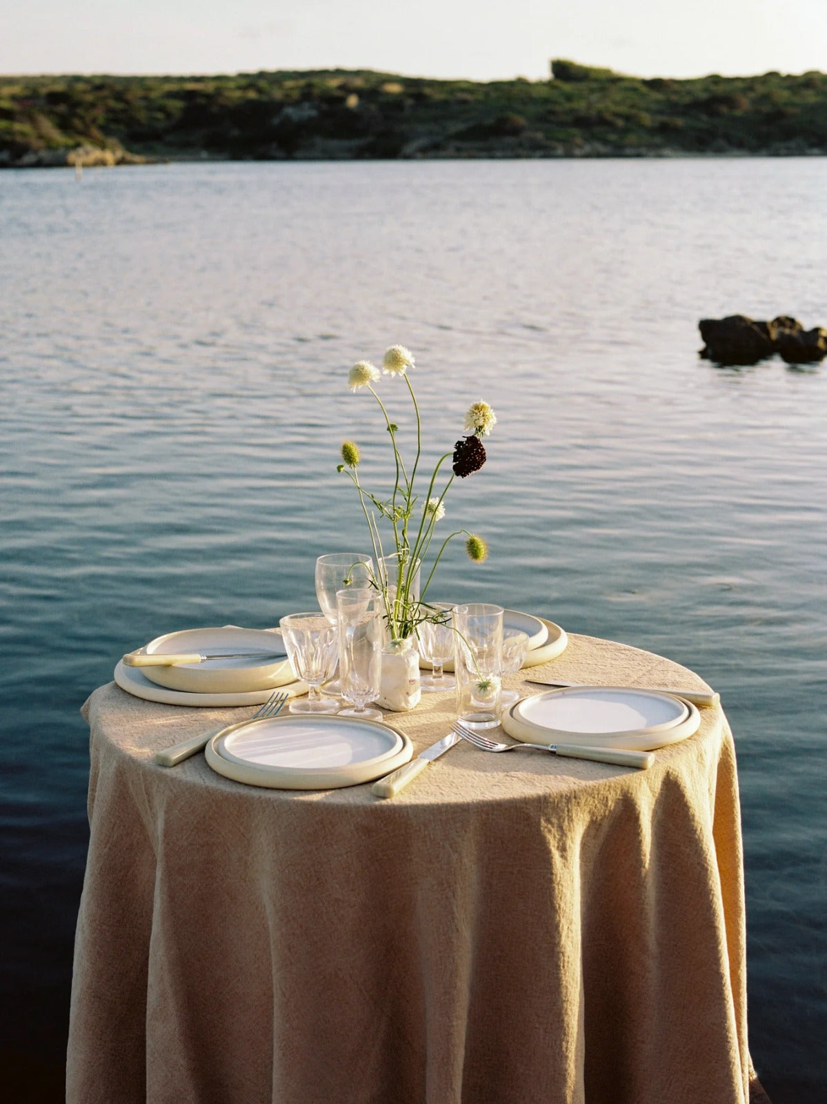 Nature Faux Horn Set