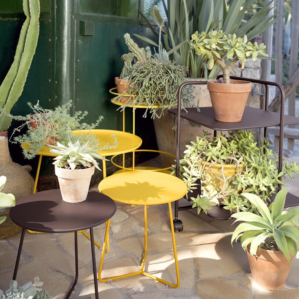 Cocotte Side Table Honey