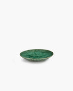 Starter Plate Green Verde Lanza