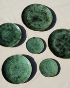 Starter Plate Green Verde Lanza
