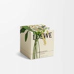 Orchid Scented Candle