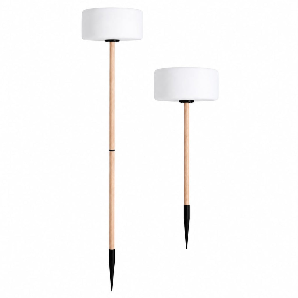 Thierry Le Swinger Light