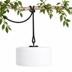 Thierry Le Swinger Light