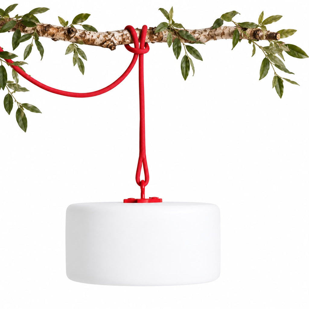 Thierry Le Swinger Light