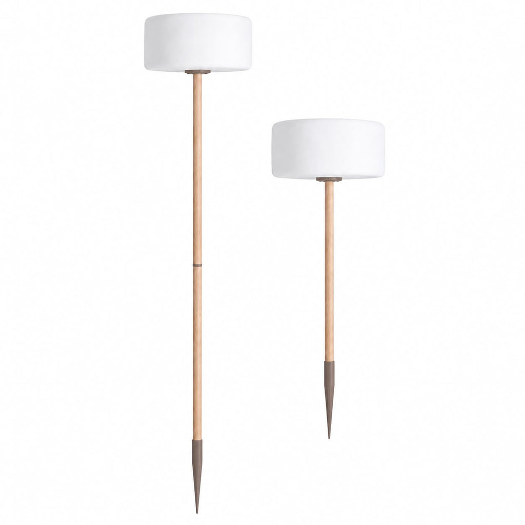 Thierry Le Swinger Light