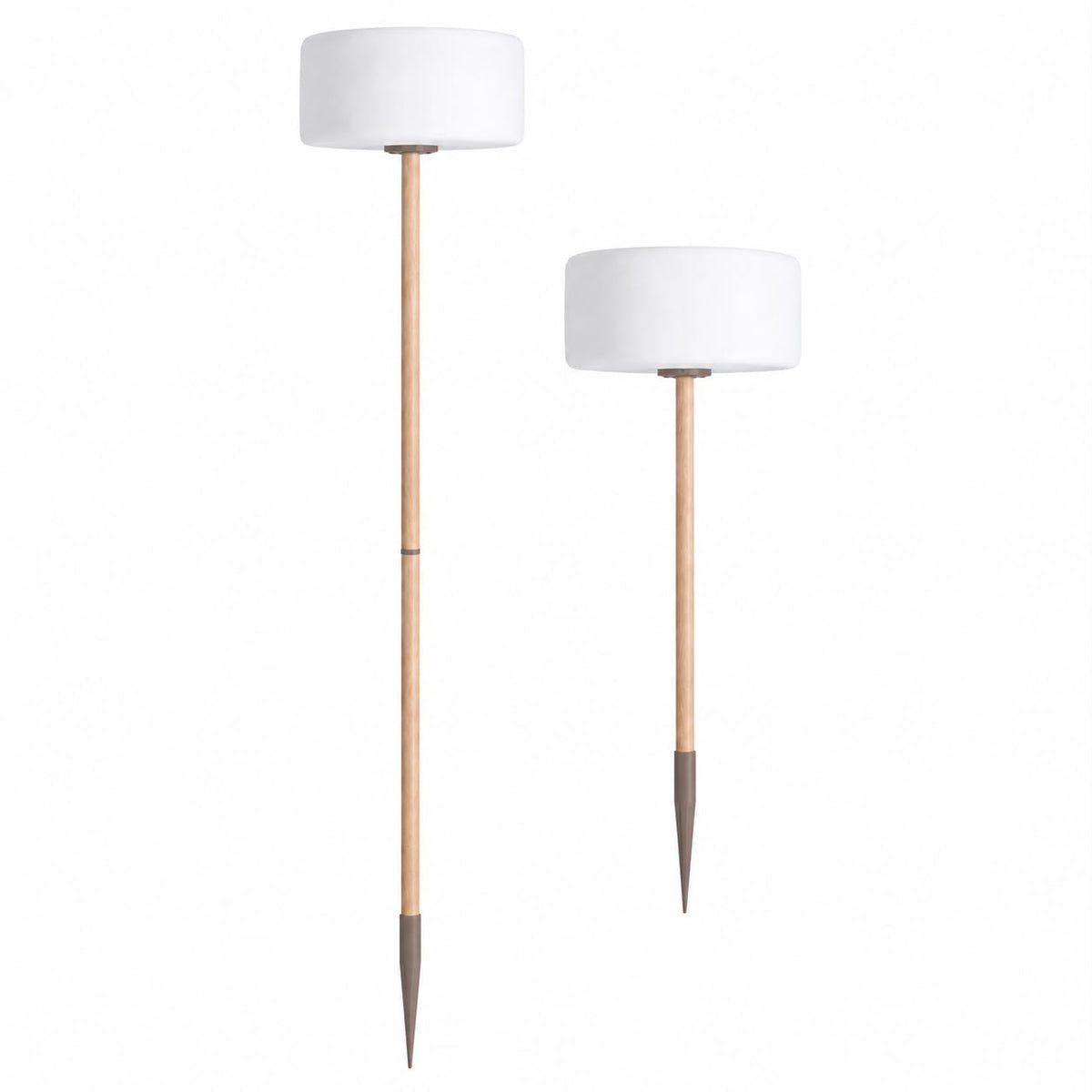 Thierry Le Swinger Light