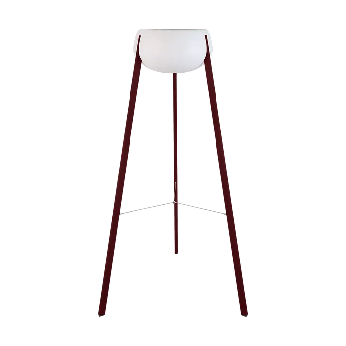 Yunos Lamp