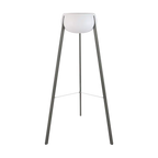 Yunos Lamp