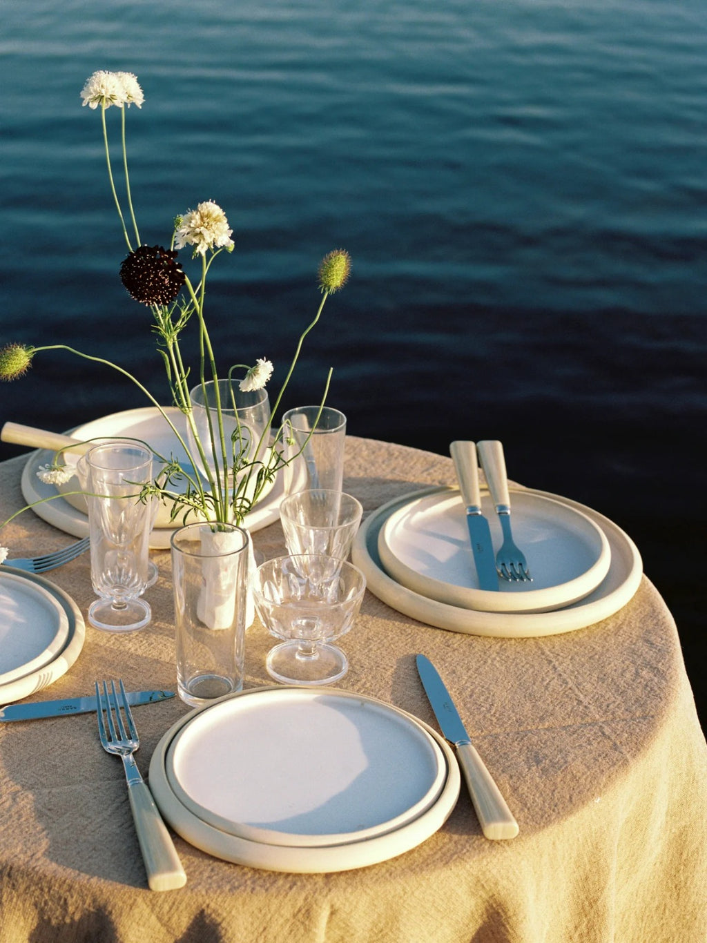 Nature Faux Horn Set