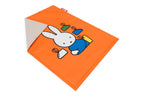 Flying Carpet x Miffy